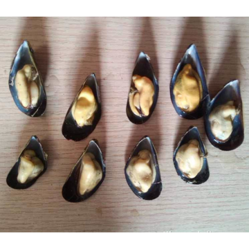 naturlig smak varm rea frysta halvskal musslor